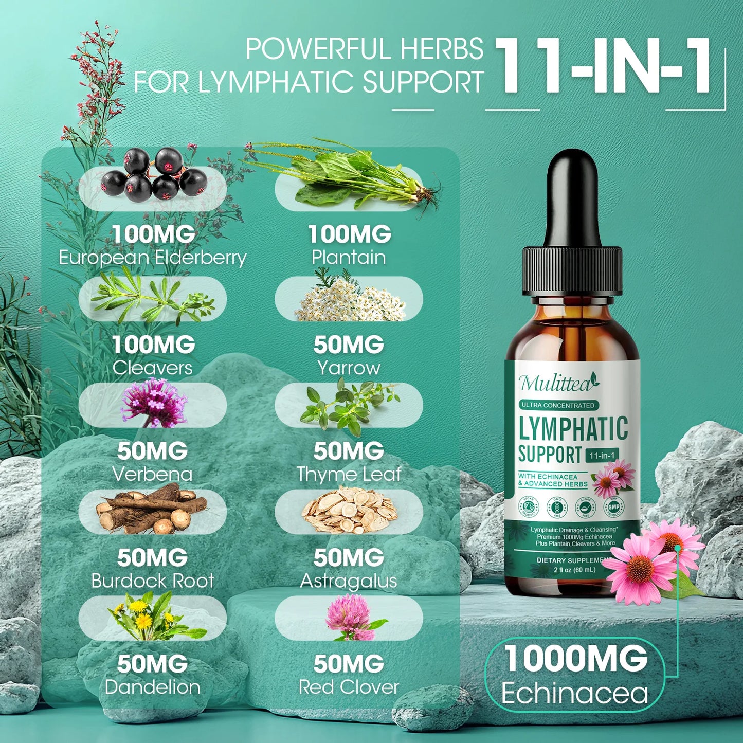 Lymphatic Support Drops